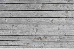 Bare Planks Wood